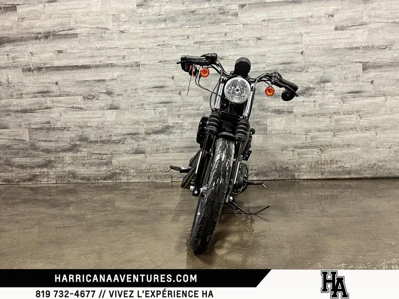 2019 Harley-Davidson XL883N IRON thumbnail 6