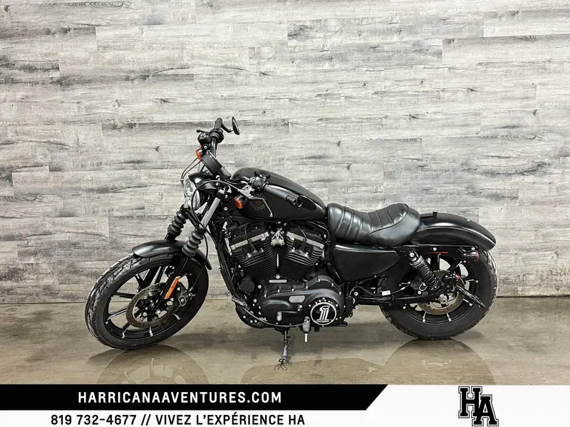 2019 Harley-Davidson XL883N IRON thumbnail 4