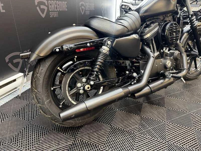 Harley-davidson Xl883 Iron 2019 alt