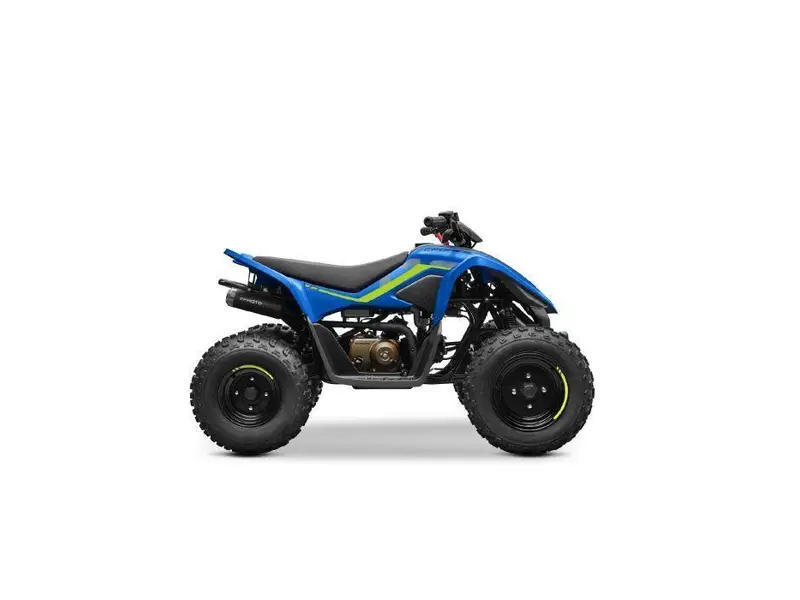 2026 CFMOTO CFORCE 110 CLASSIC thumbnail 2