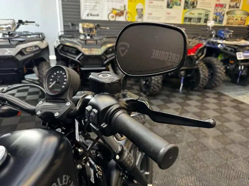 2019 Harley-Davidson XL883 IRON thumbnail 7