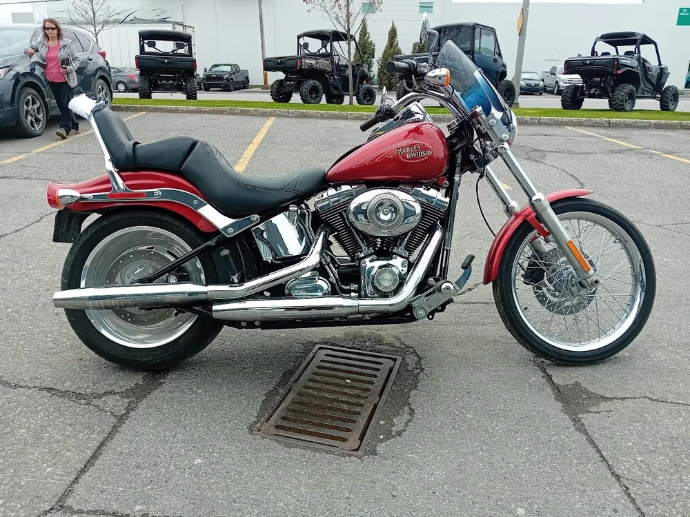 Harley-davidson Fxstc 2008 alt