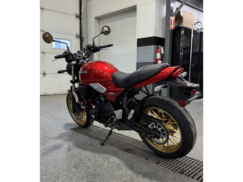 Kawasaki Er65 Rs 2024 alt