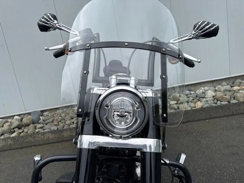 2018 Harley-Davidson FLSL - Softail Slim thumbnail 18