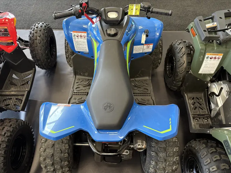 2026 CFMOTO Cforce 110 Classic thumbnail 6