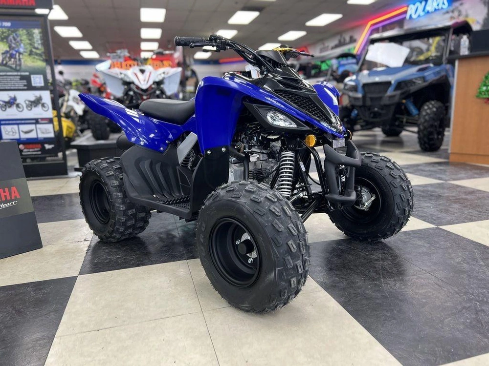 2025 Yamaha Raptor 110 alt