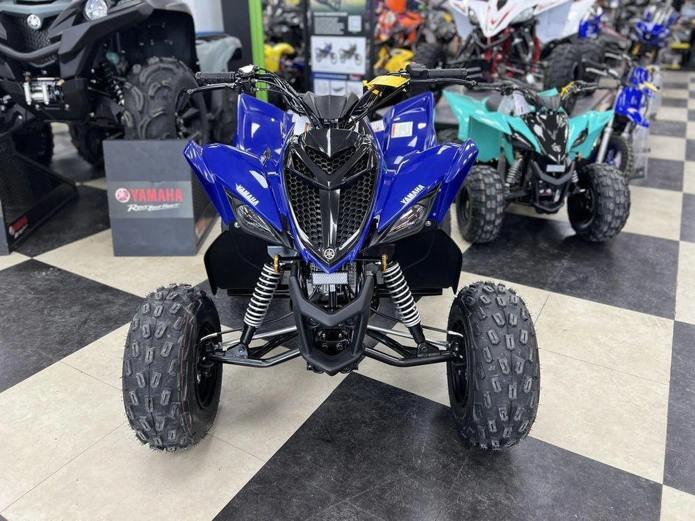 2025 Yamaha Raptor 110 alt
