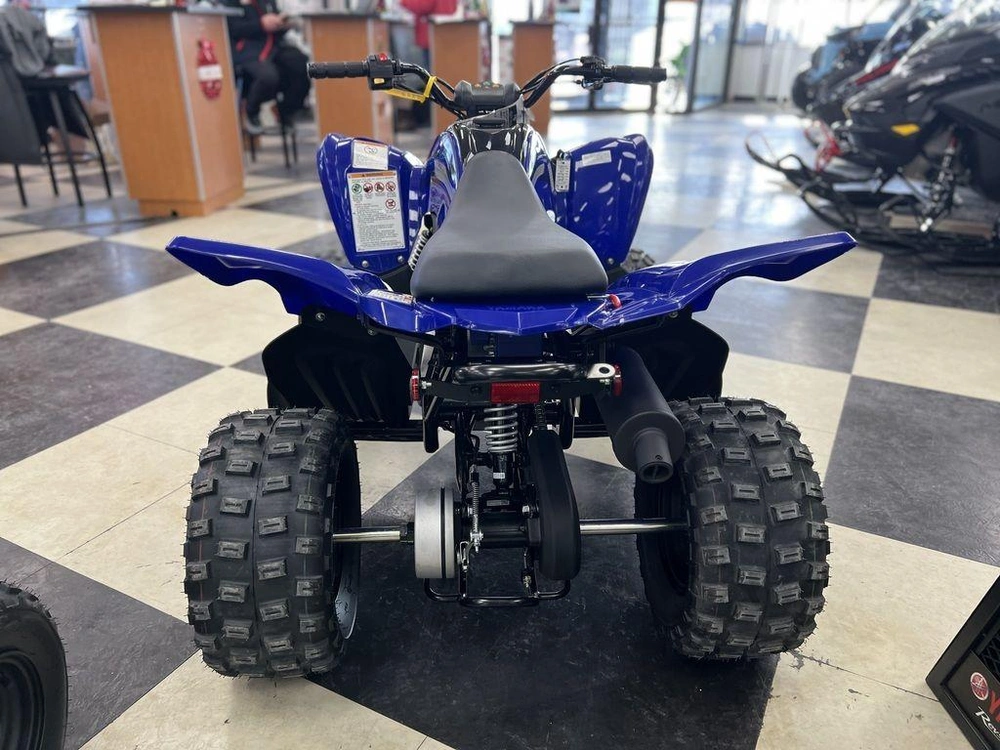 2025 Yamaha Raptor 110 alt