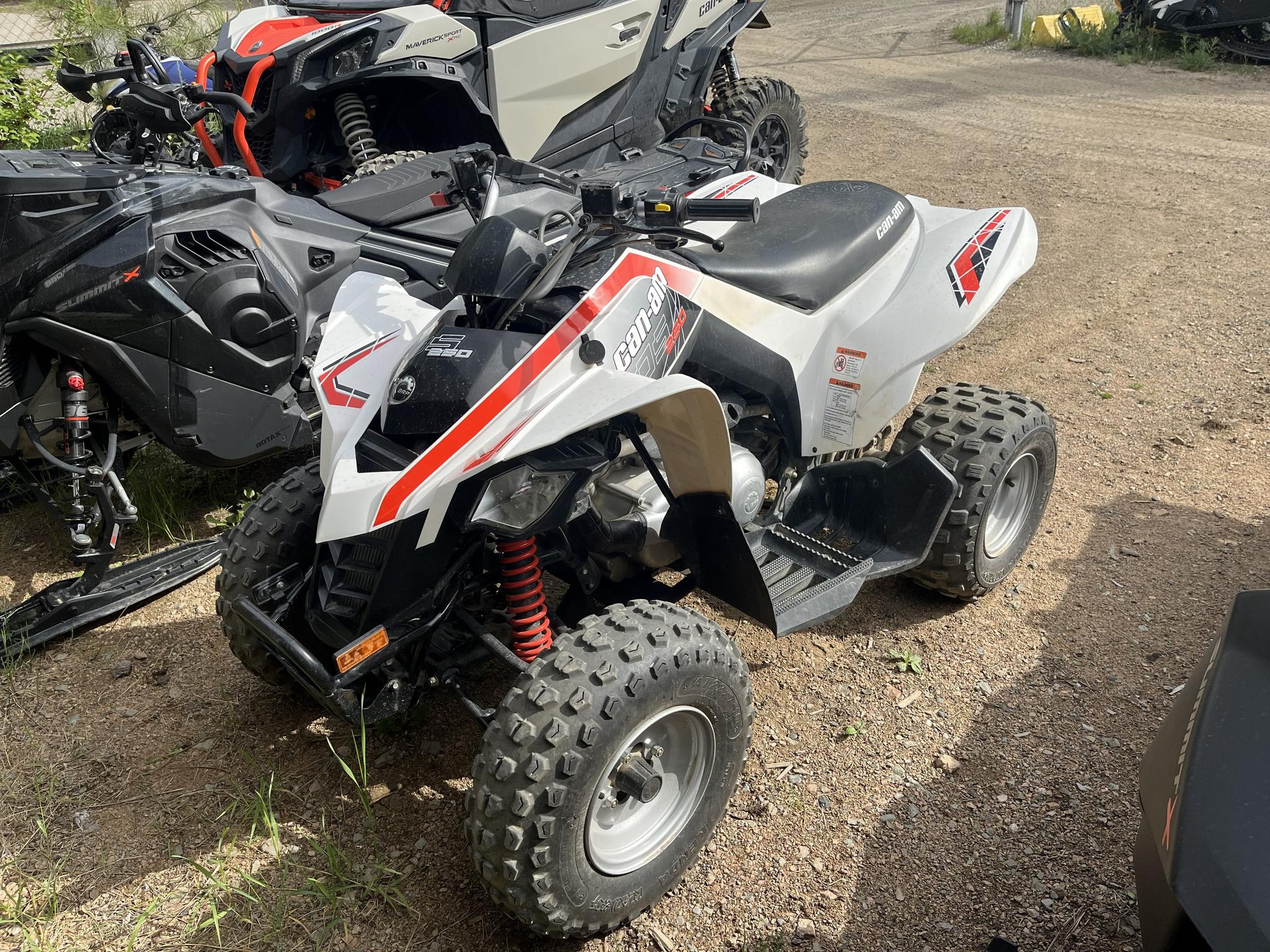 2009 Can-Am DS 250