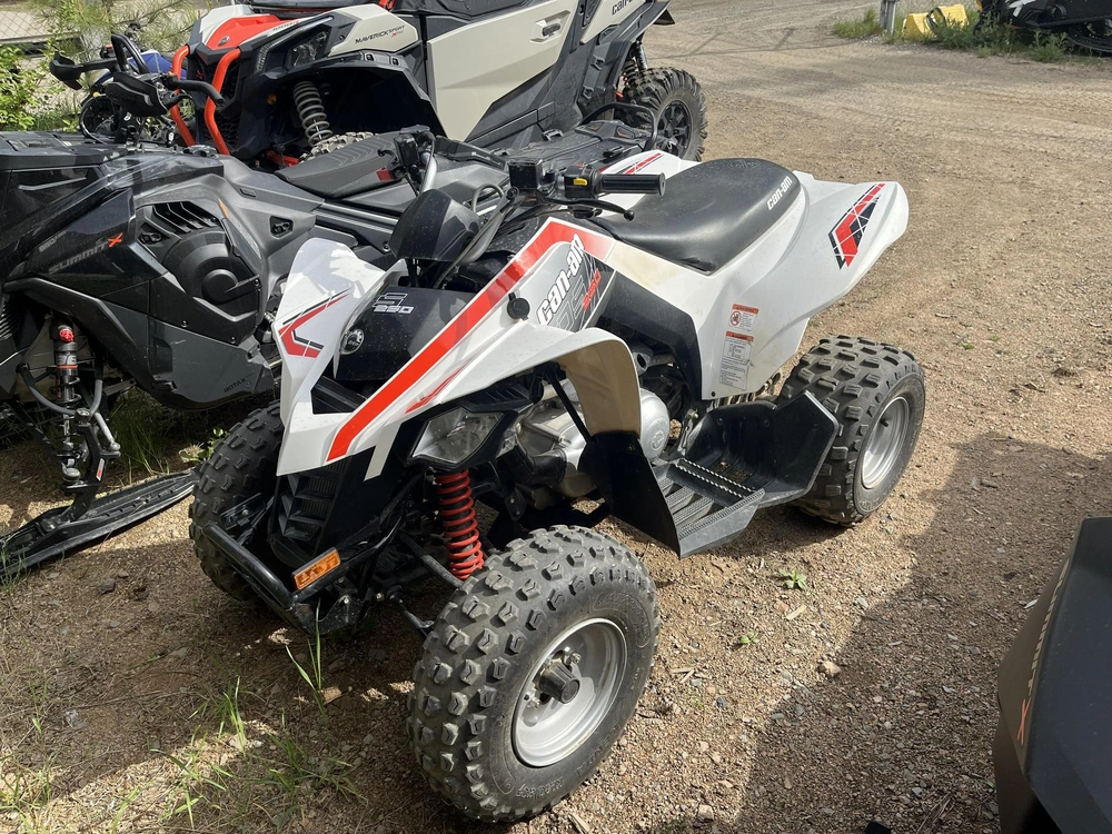 2009 Can-am Ds 250 alt