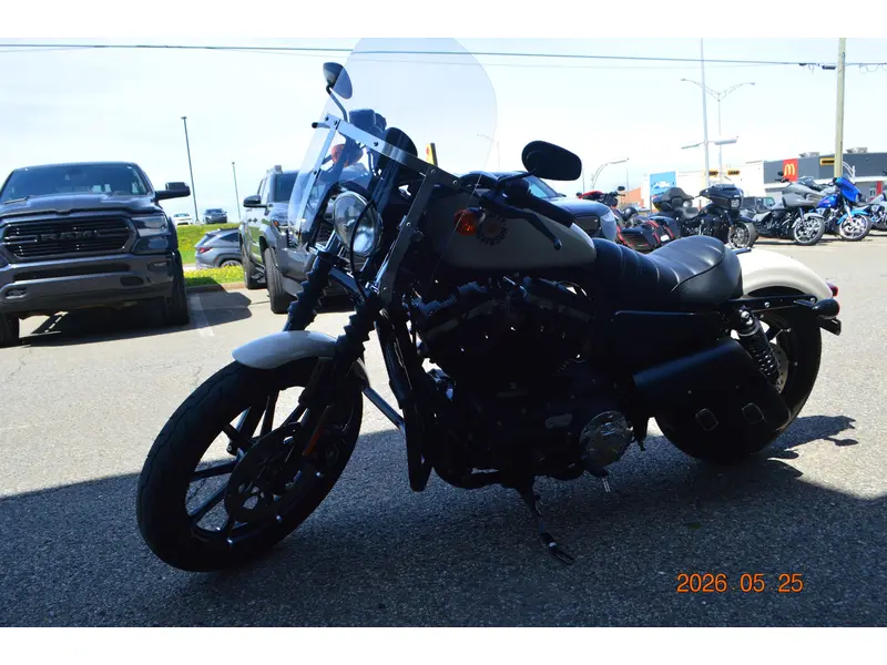 2022 Harley-Davidson XL883N thumbnail 7