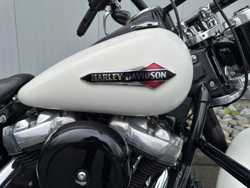 2018 Harley-davidson Flsl - Softail Slim alt