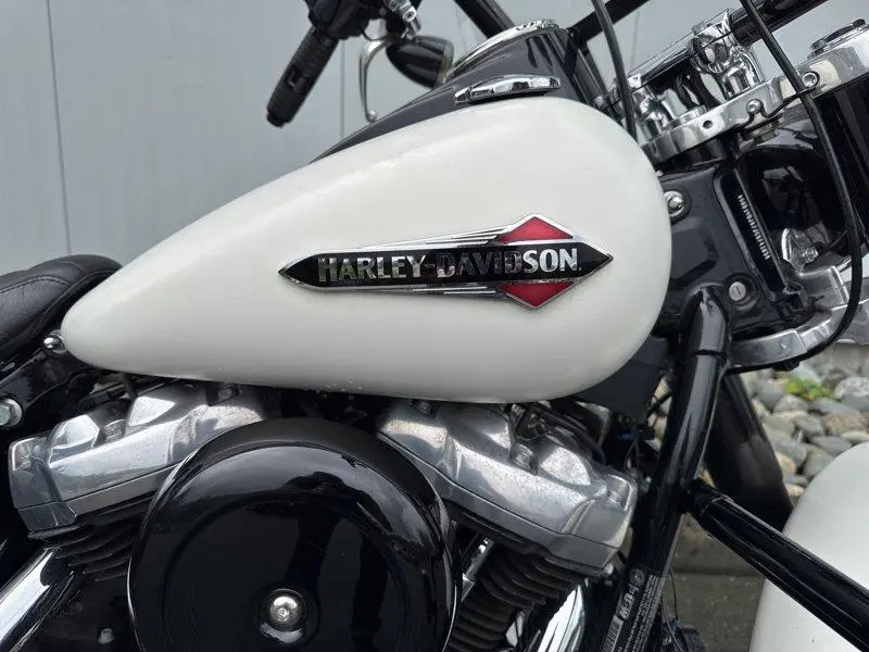 2018 Harley-Davidson FLSL - Softail Slim thumbnail 4
