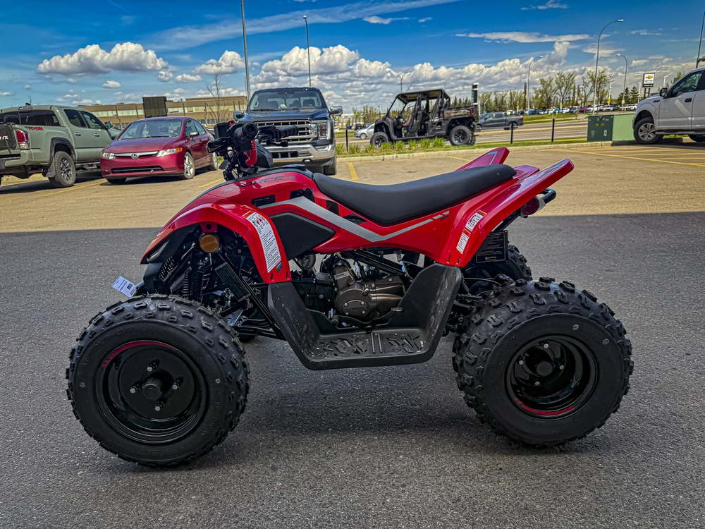 2026 Cfmoto Cforce 110 Classic alt