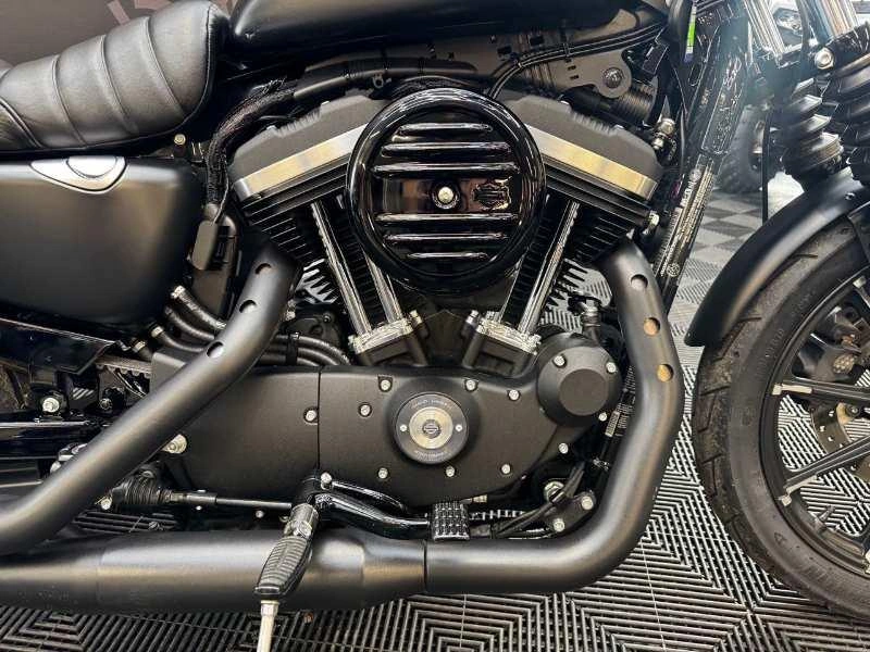 Harley-davidson Xl883 Iron 2019 alt
