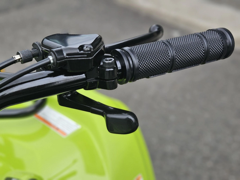 Yamaha Grizzly 110 2026 alt