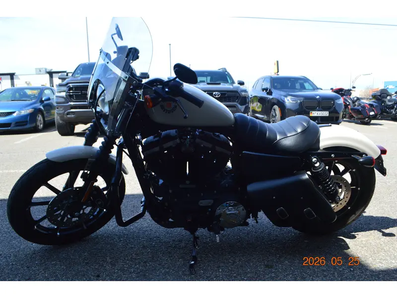 2022 Harley-Davidson XL883N thumbnail 6