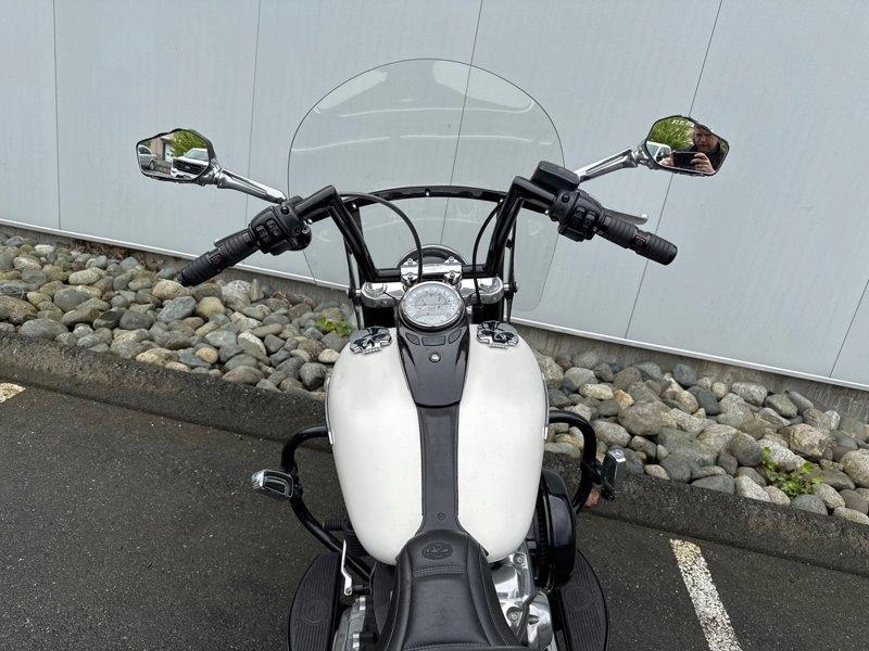 2018 Harley-davidson Flsl - Softail Slim alt
