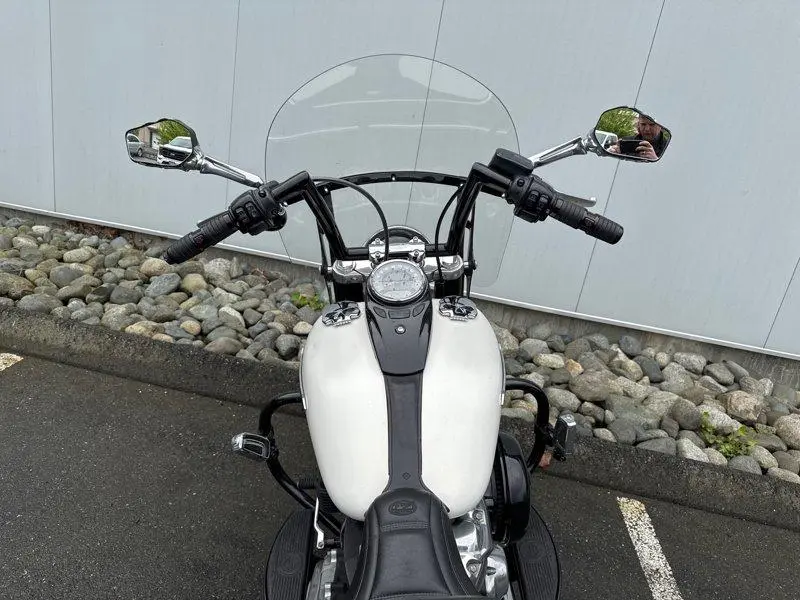 2018 Harley-Davidson FLSL - Softail Slim thumbnail 13