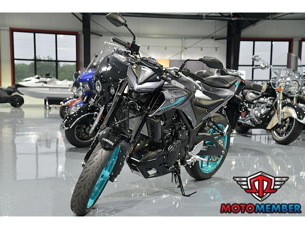 2024 Yamaha Mt-03 alt