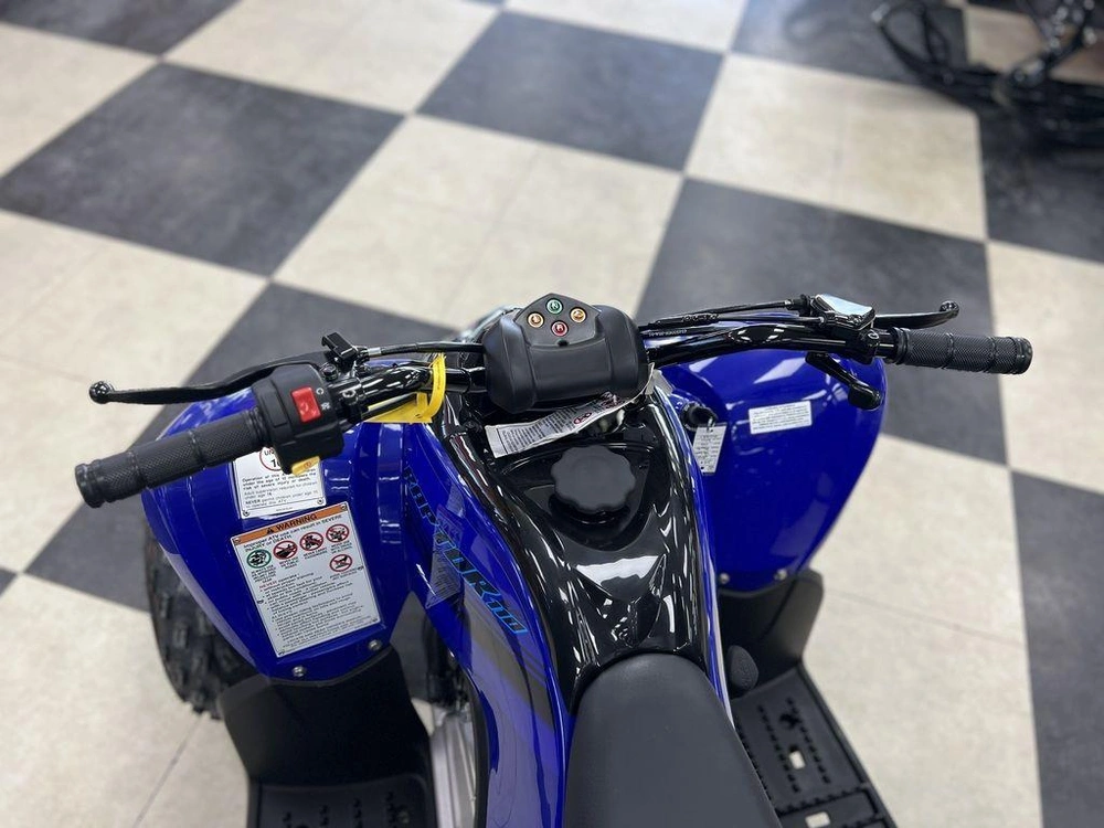 2025 Yamaha Raptor 110 alt