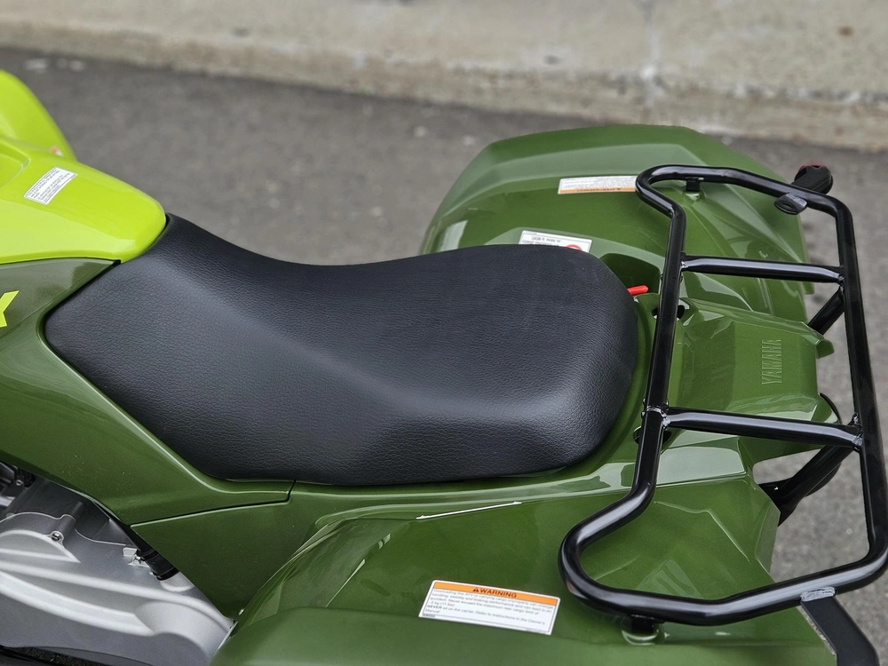 Yamaha Grizzly 110 2026 alt