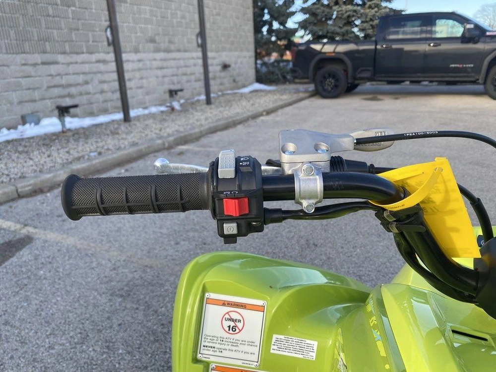 2026 Yamaha Raptor 700r Se alt