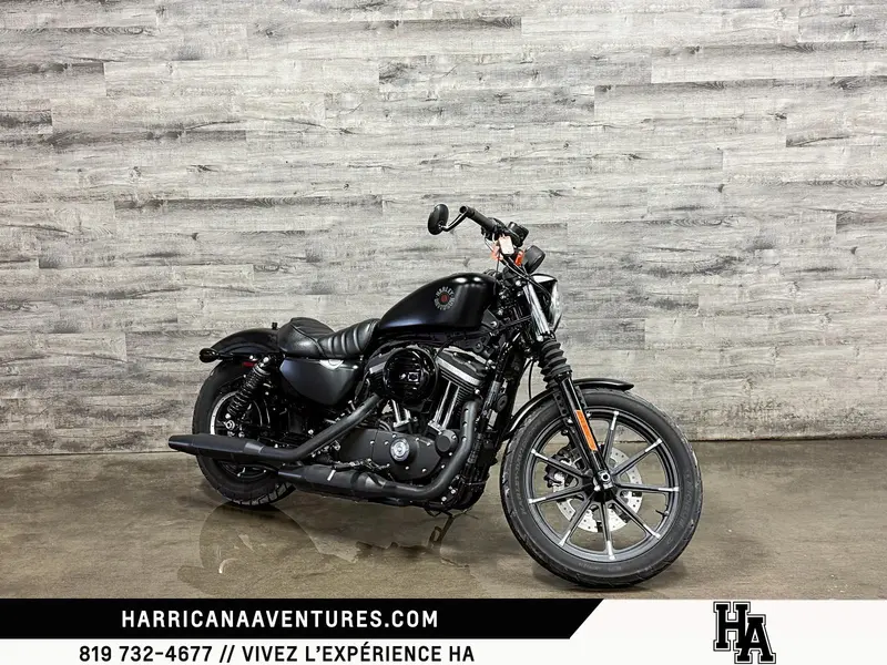 2019 Harley-Davidson XL883N IRON thumbnail 7