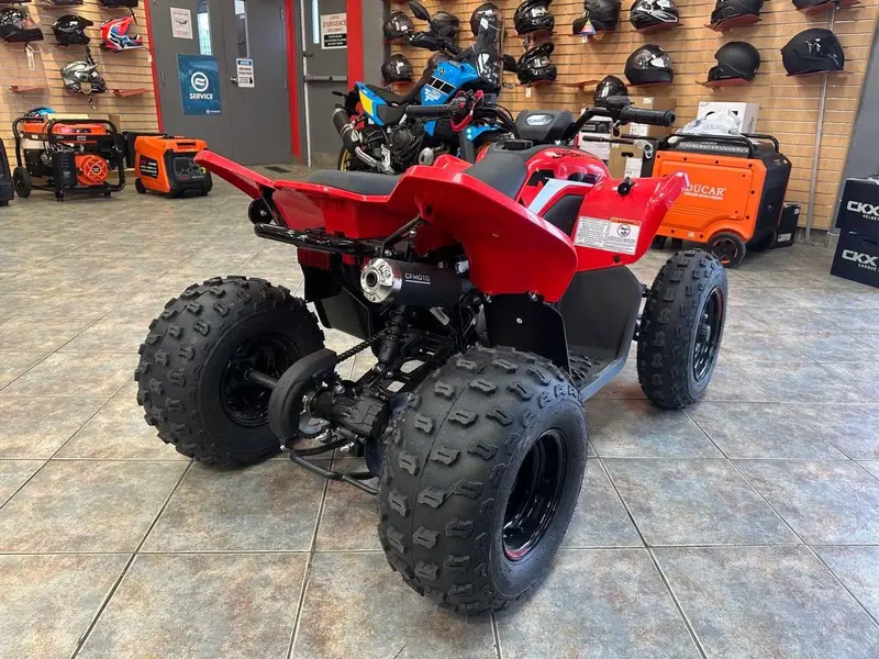 2026 CFMOTO Cforce 110 Classic thumbnail 6