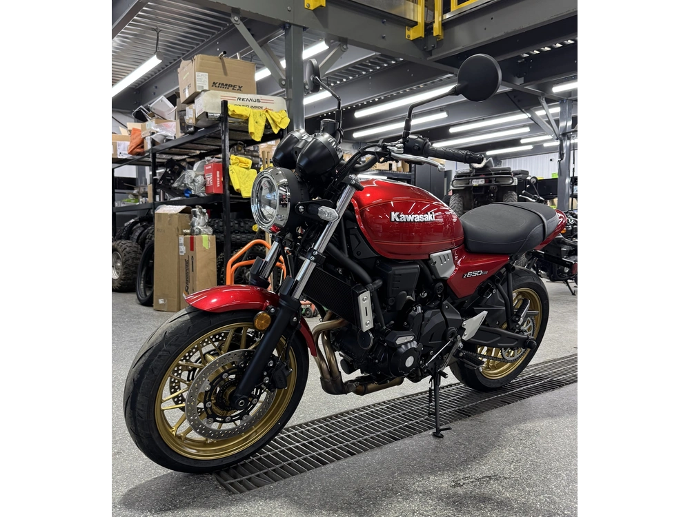 Kawasaki Er65 Rs 2024 alt