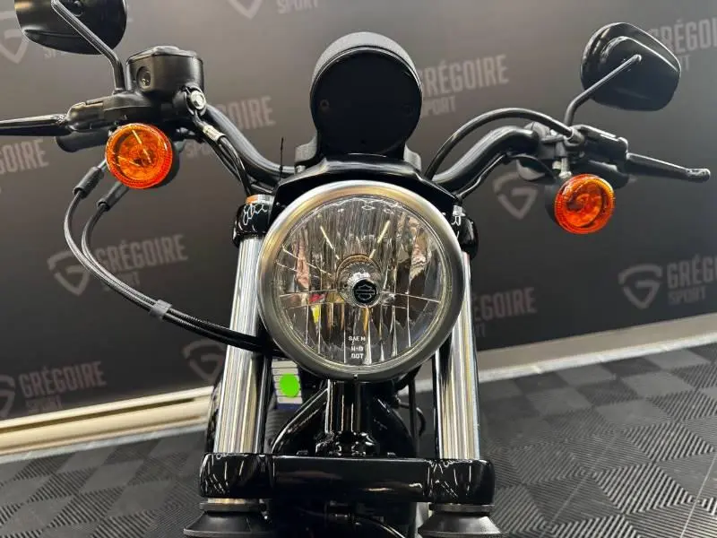 2019 Harley-Davidson XL883 IRON thumbnail 10