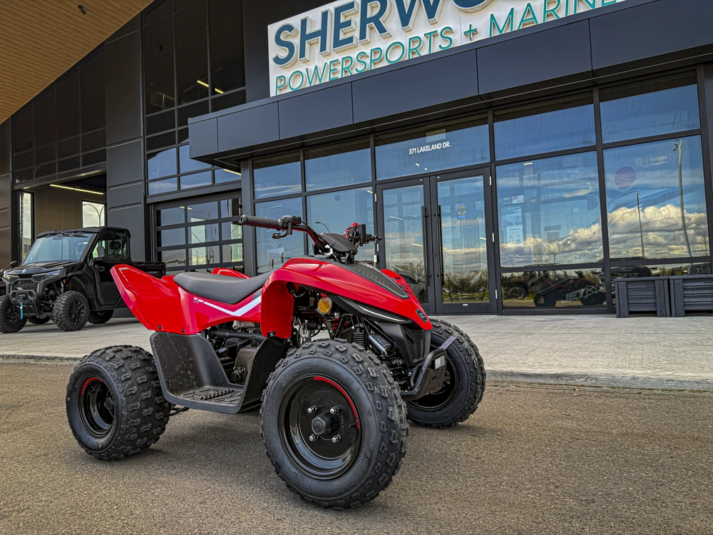 2026 Cfmoto Cforce 110 Classic alt