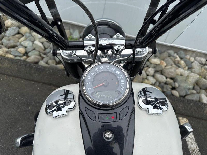 2018 Harley-davidson Flsl - Softail Slim alt