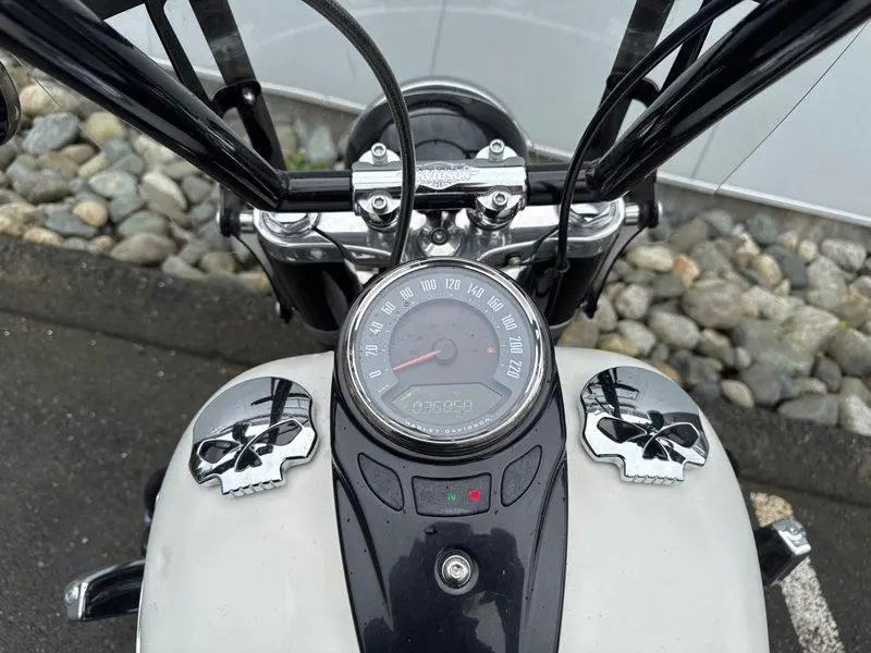 2018 Harley-Davidson FLSL - Softail Slim thumbnail 17