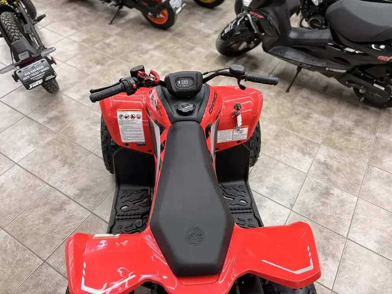 2026 CFMOTO CF110C