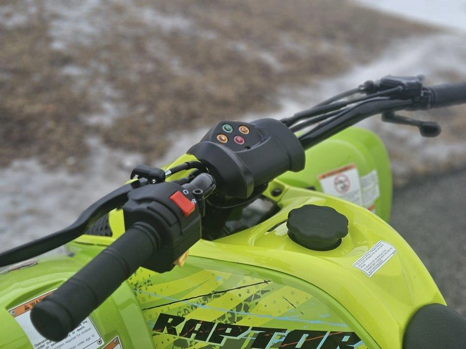 2026 Yamaha Raptor 110 alt