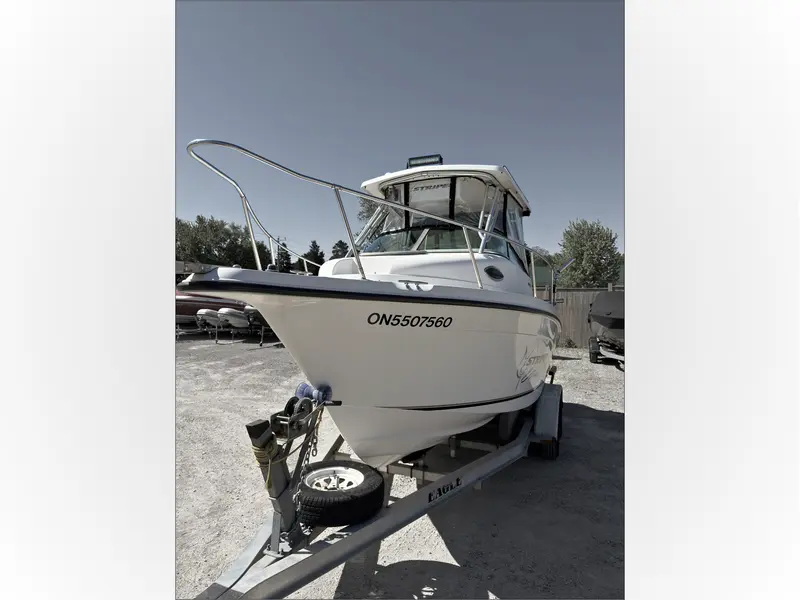 2002 Striper Seaswril 2101 thumbnail 9