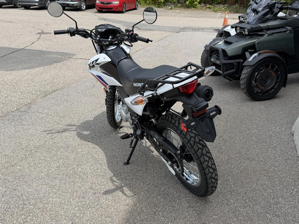 2025 Honda Xr150l (ca) alt