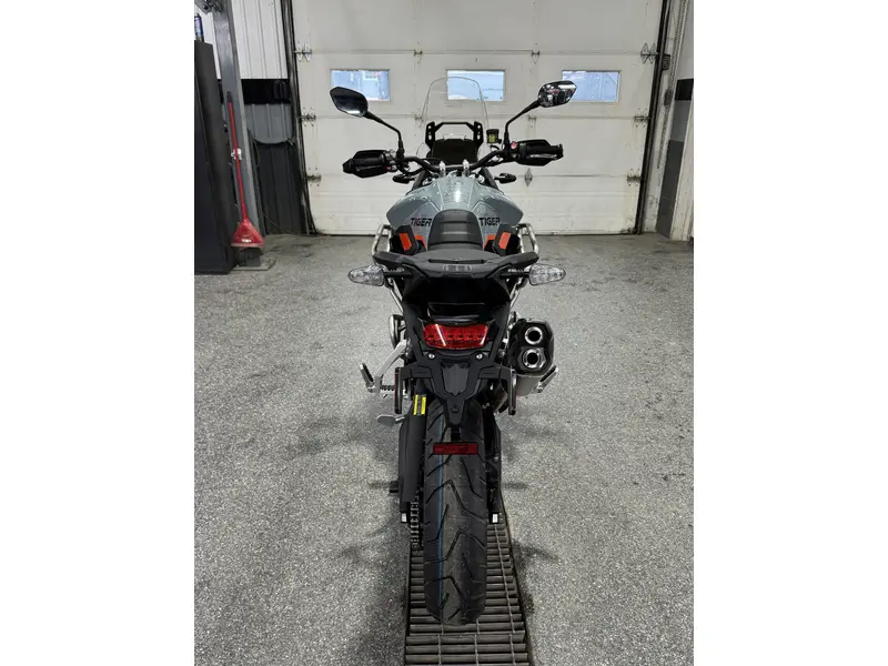 2026 Triumph TIGER 900 DESSERT