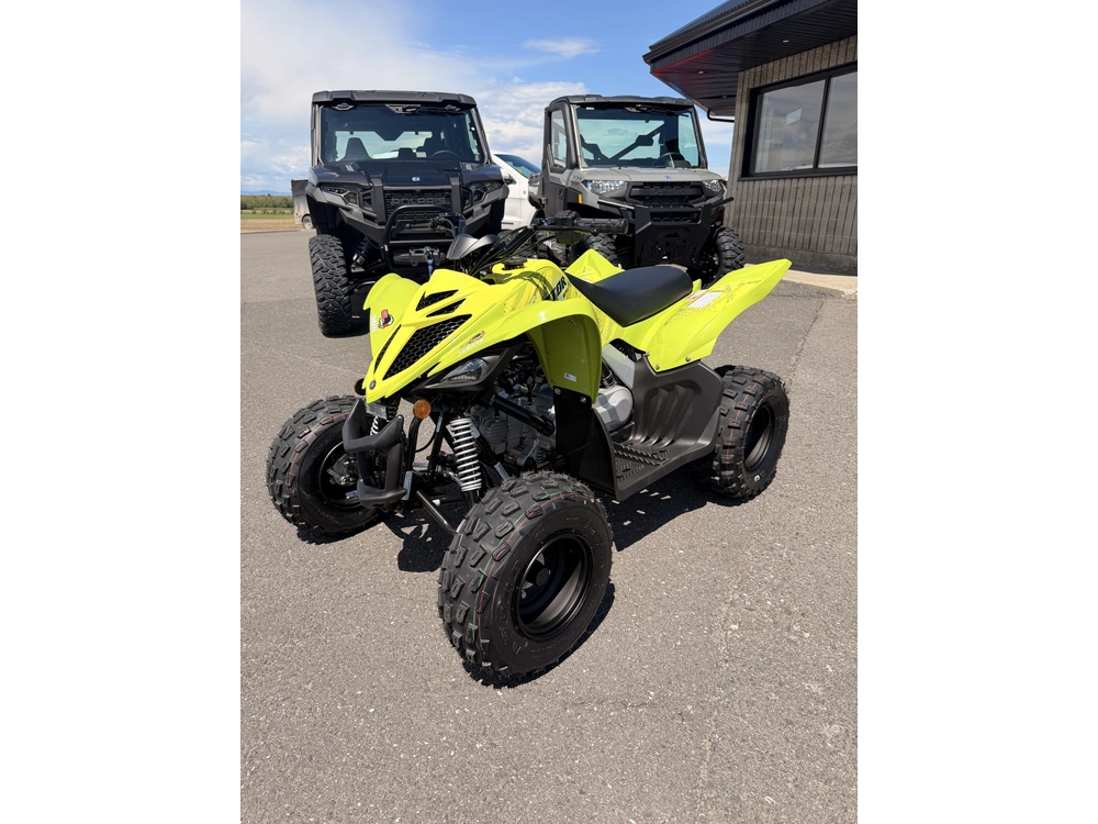 2026 Yamaha Yamaha Raptor 110 alt