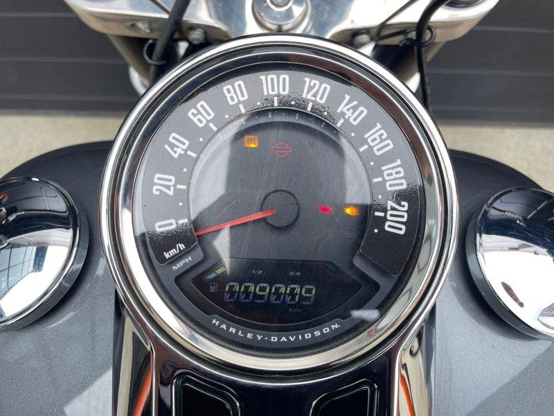 2021 Harley-davidson Flsb - Sport Glide alt
