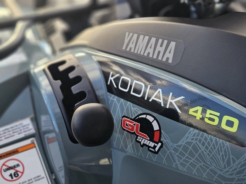 Yamaha Kodiak 450 Eps Xt-r 2026 alt