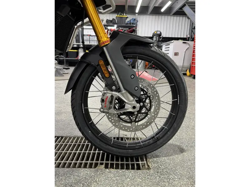2026 Triumph TIGER 900 DESSERT