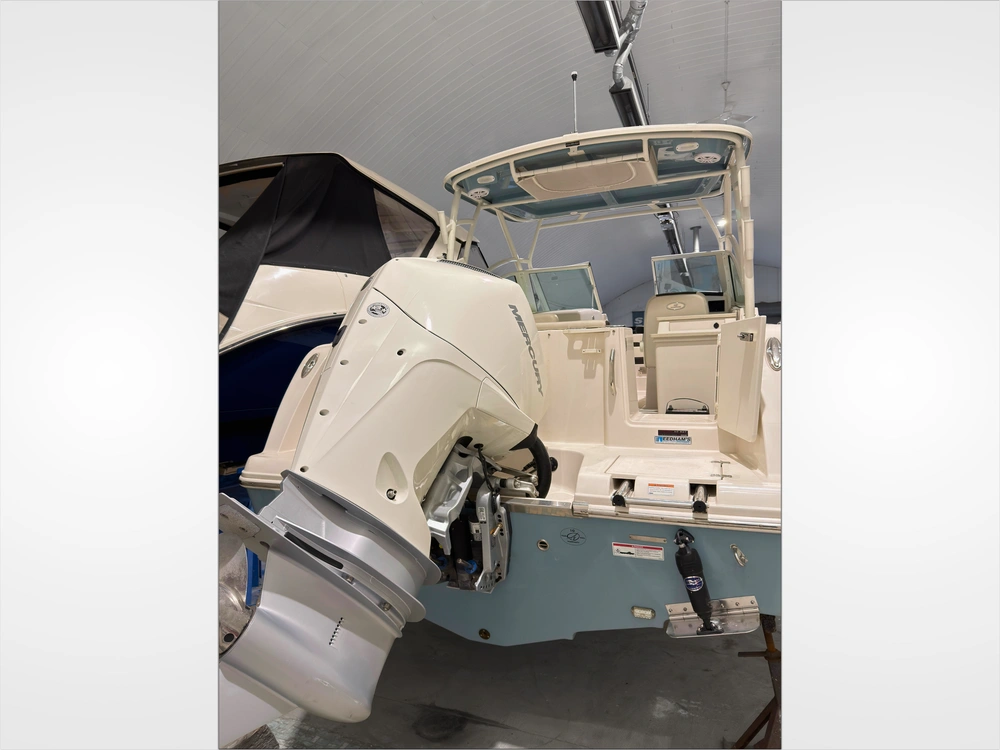 2023 Sailfish 245 Dc alt