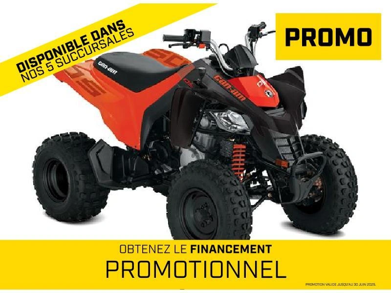 2026 Can-am Ds 250 alt