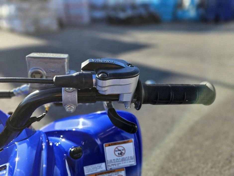 Yamaha Raptor 700r 2026 alt