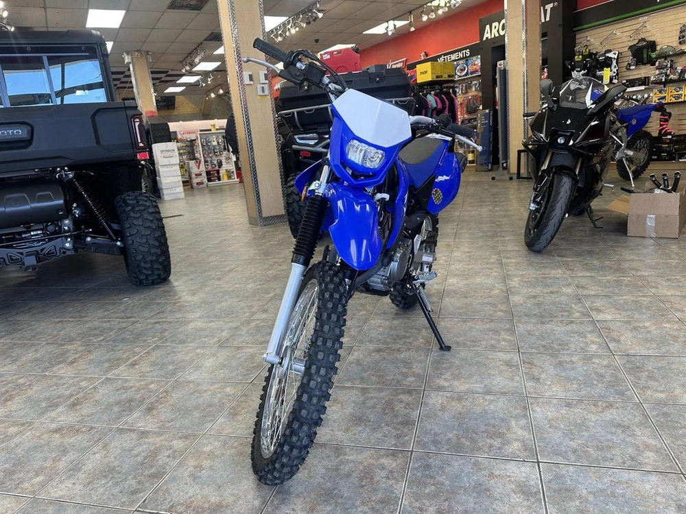 2025 Yamaha Ttr125 alt