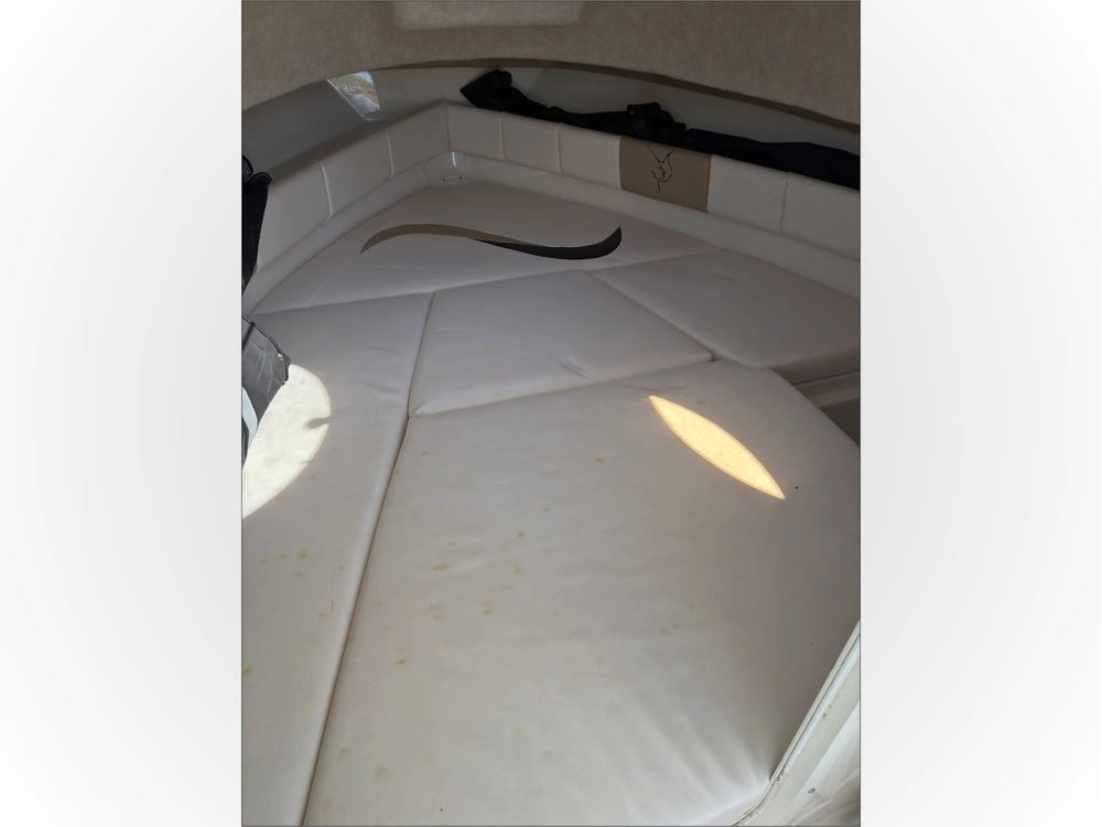 2002 Striper Seaswril 2101 alt