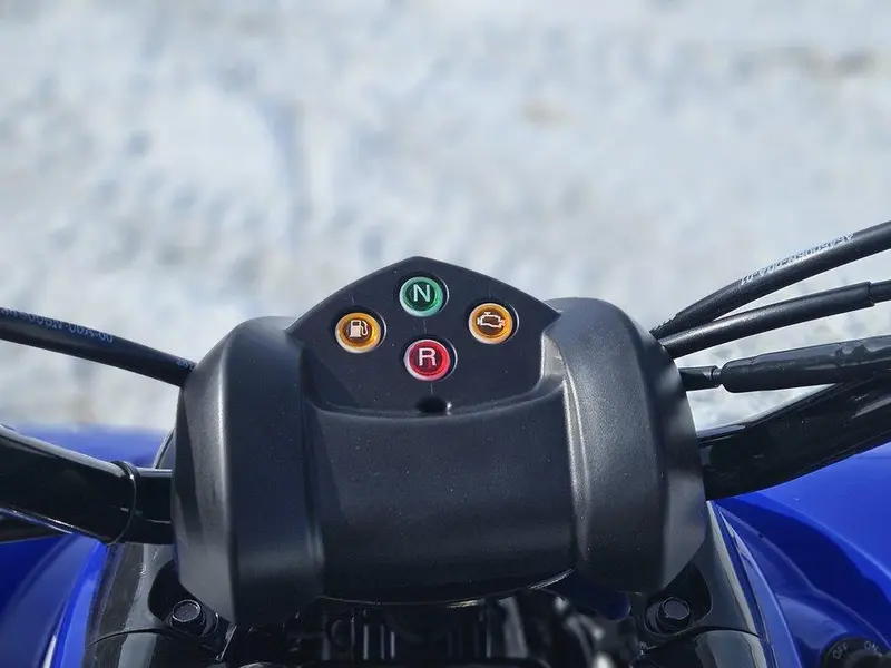 Yamaha RAPTOR 110
