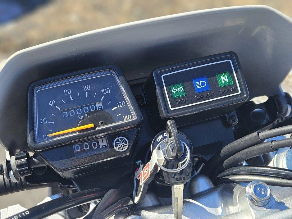 2026 Yamaha Tw200 alt